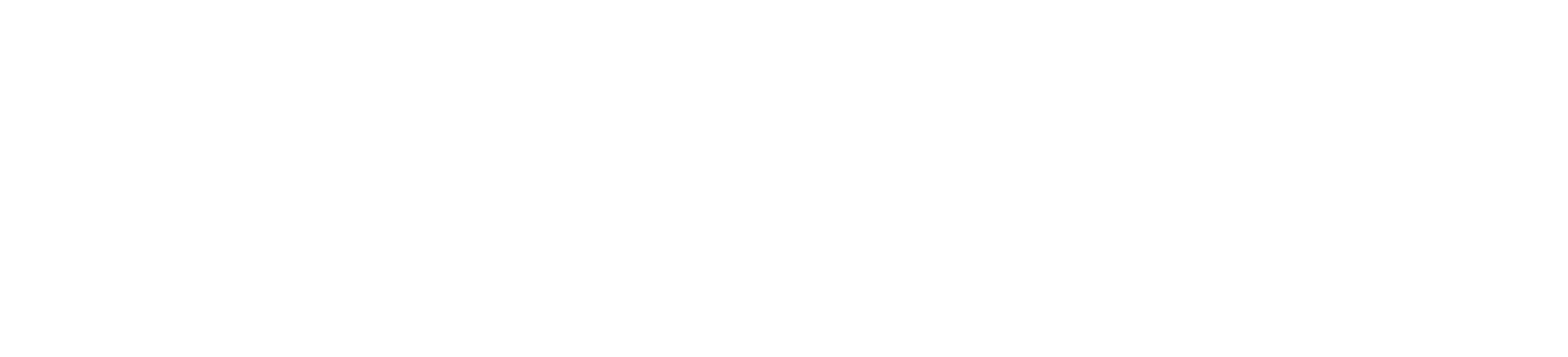 logo white