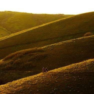 Corner Partners - Home